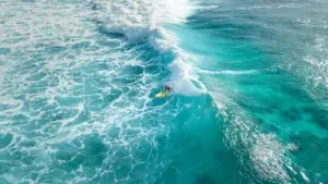 women surfing in the ocean
